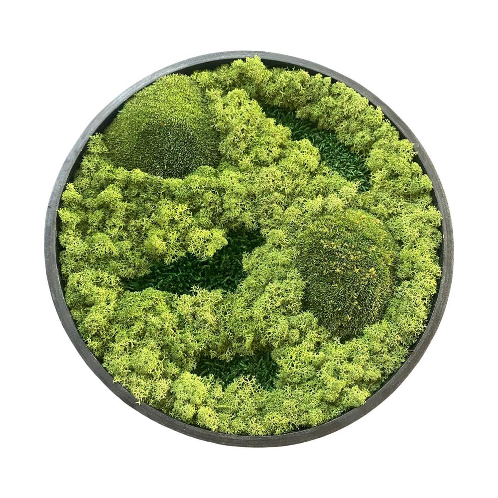
                  
                    MOSSbyELLEN  - Circle of love - Blandning av mose
                  
                